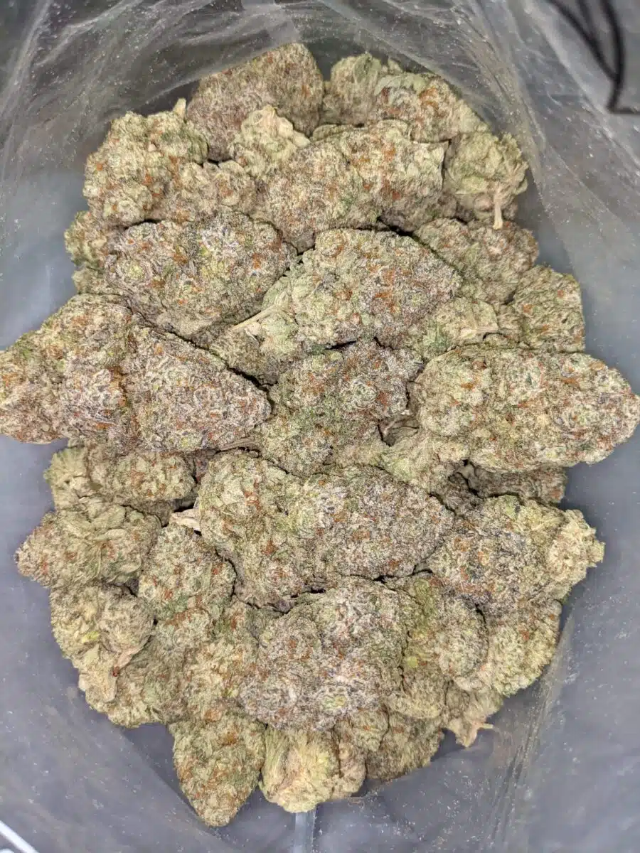 Cotton Candy Kush