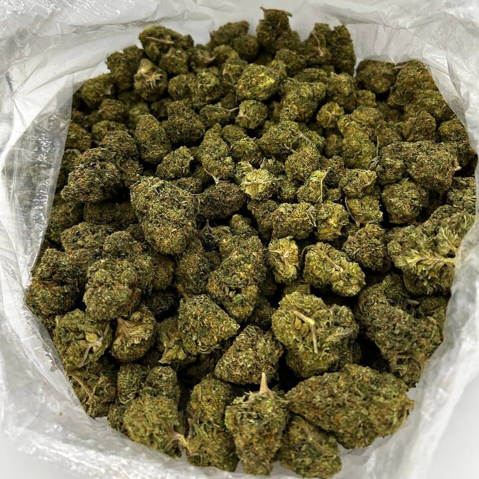 Dutch Treat