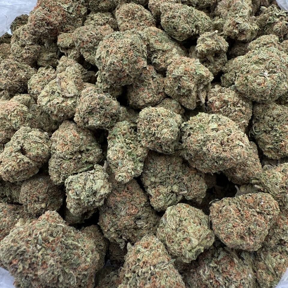 Lemon Cherry Gelato