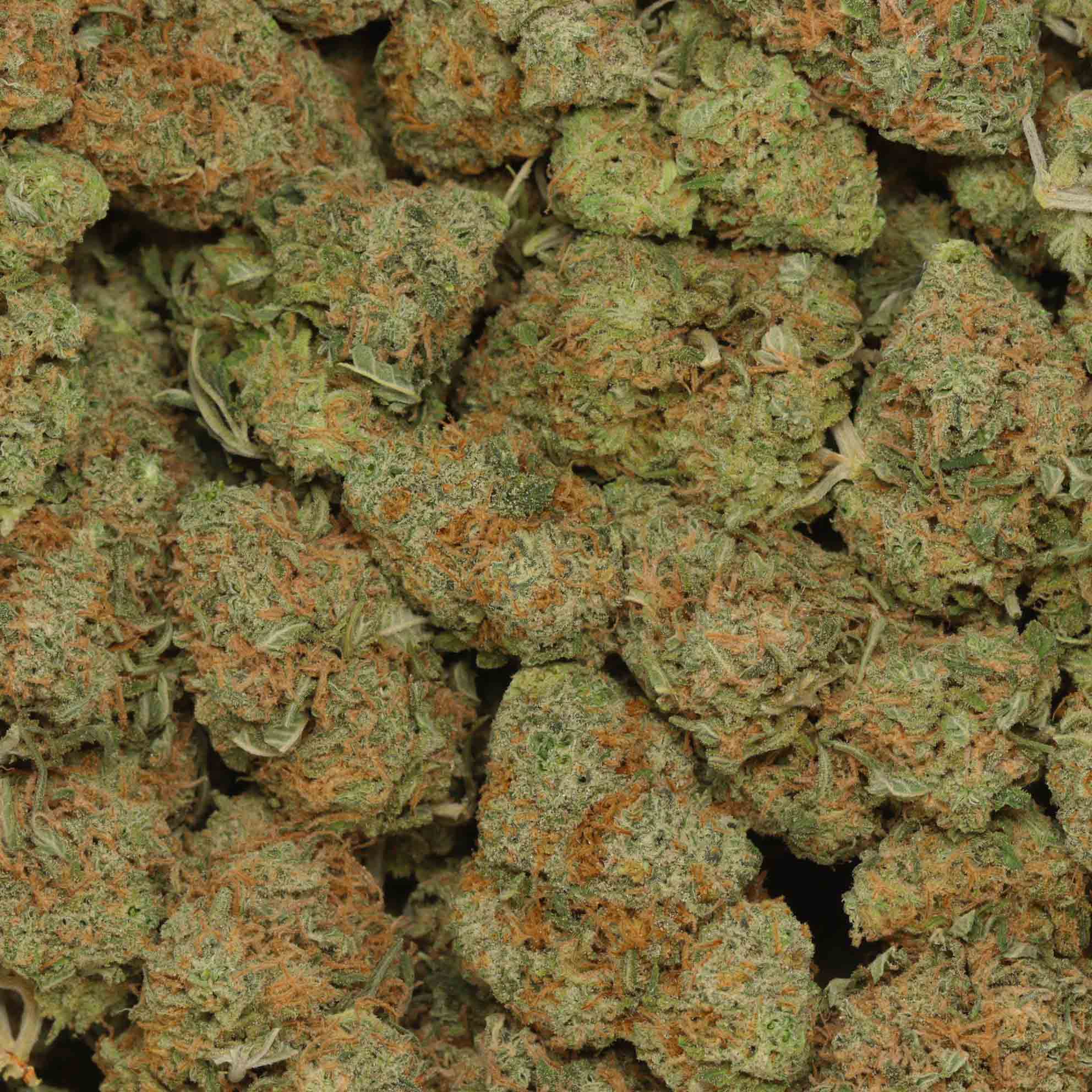 Cherry Pie