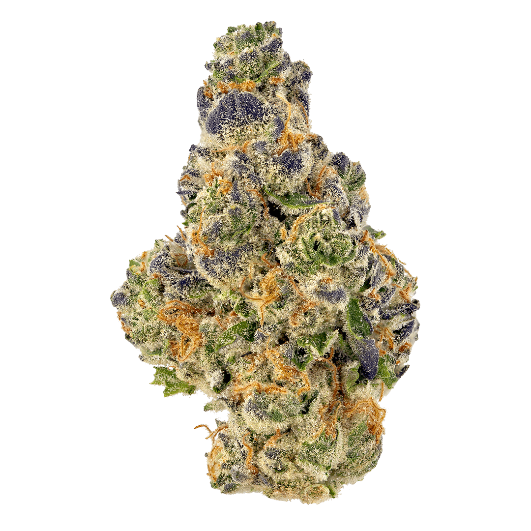 Animal Sherbet Mintz