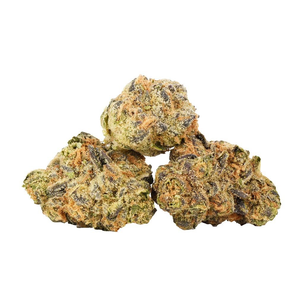 Jungle Cake